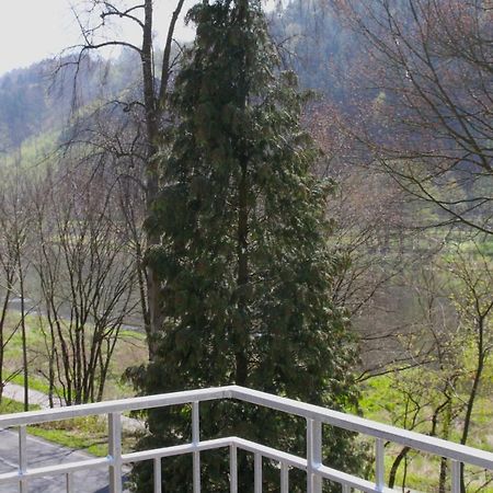 Haus Elbsinfonie Villa Bad Schandau Eksteriør billede