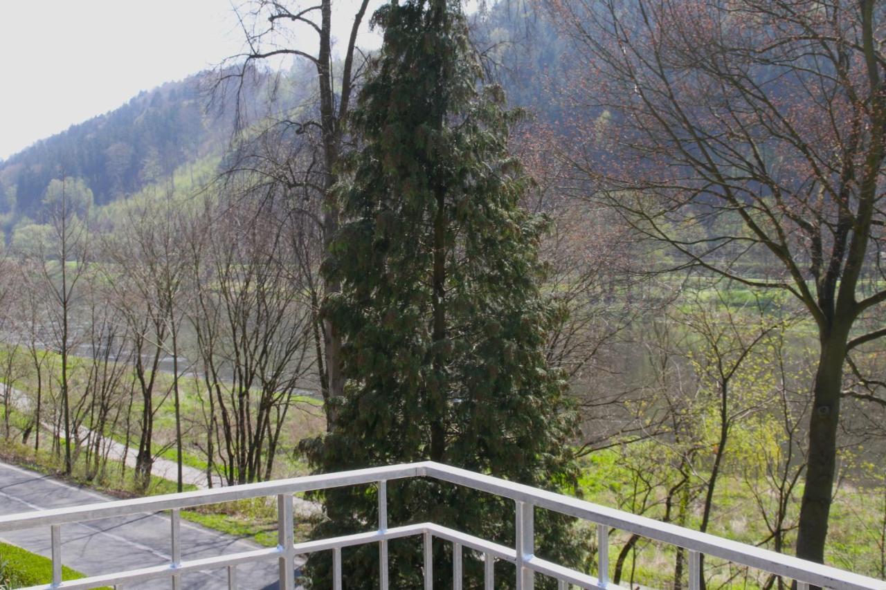Haus Elbsinfonie Villa Bad Schandau Eksteriør billede